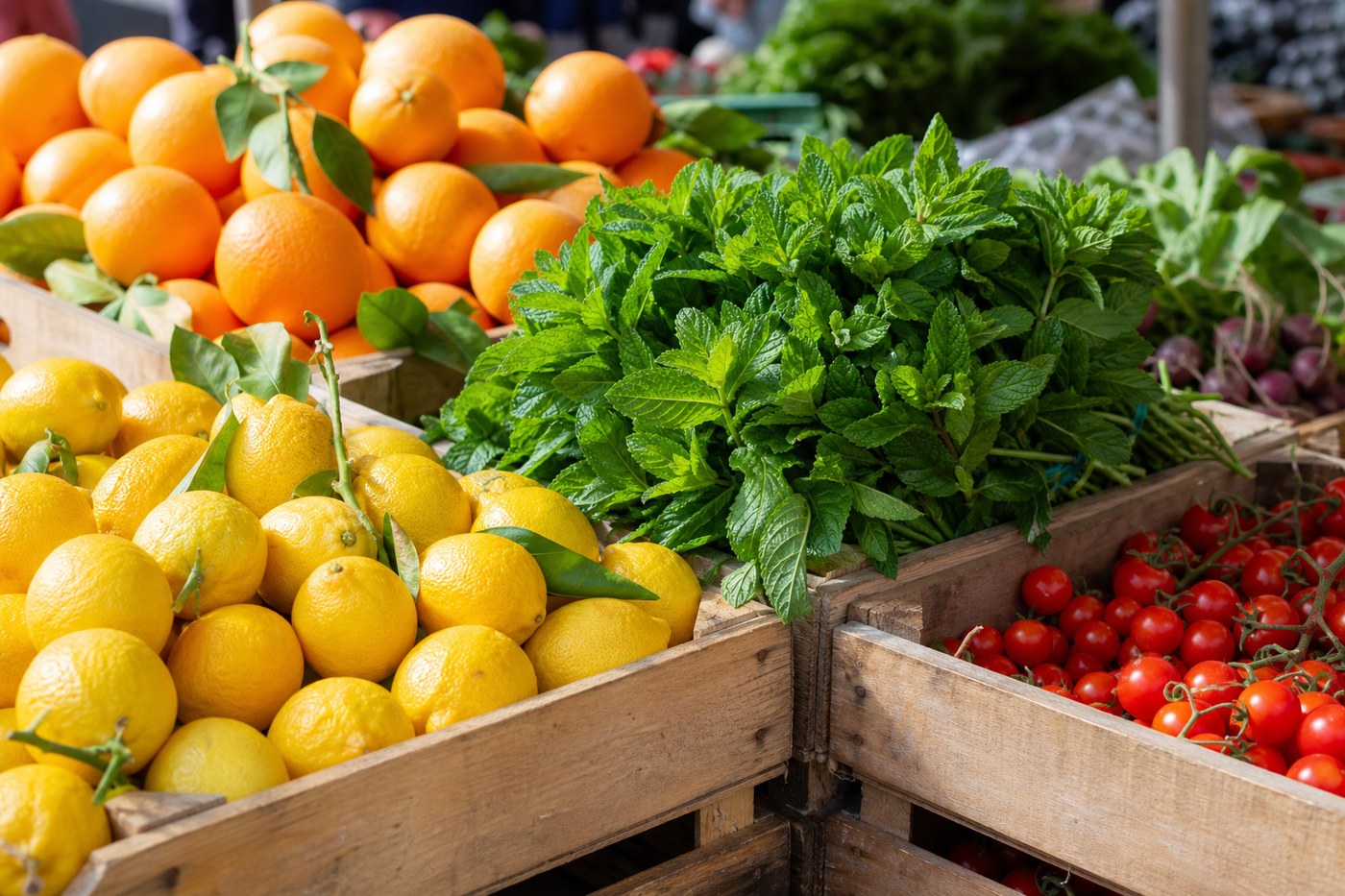 Fresh citrus and produce at Tel Aviv market